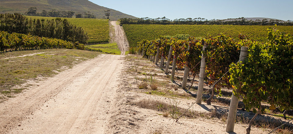 A Quiet Village Nurturing Nature's Nectar
